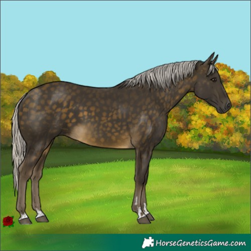Horse Color:Silver Buckskin 