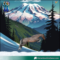 Horse Color:Silver Brown Roan Tobiano
