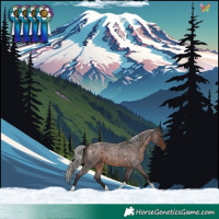 Horse Color:Silver Brown Roan Tobiano