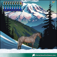 Horse Color:Silver Brown Roan Tobiano 