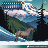 Horse Color:Silver Brown Roan Tobiano 