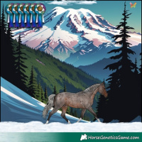 Horse Color:Silver Brown Roan Tobiano 