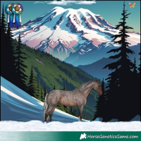 Horse Color:Silver Brown Roan Tobiano