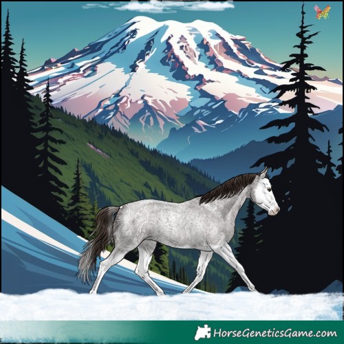 Horse Color:Liver Red Ice Roan Splash