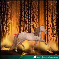 Horse Color:Gold Champagne Roan