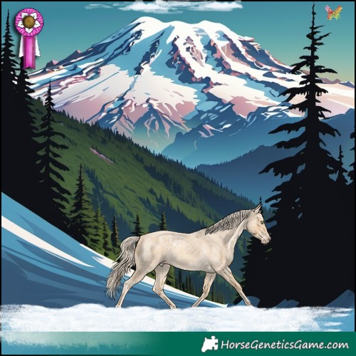 Horse Color:Gold Cream Champagne Ice Roan 