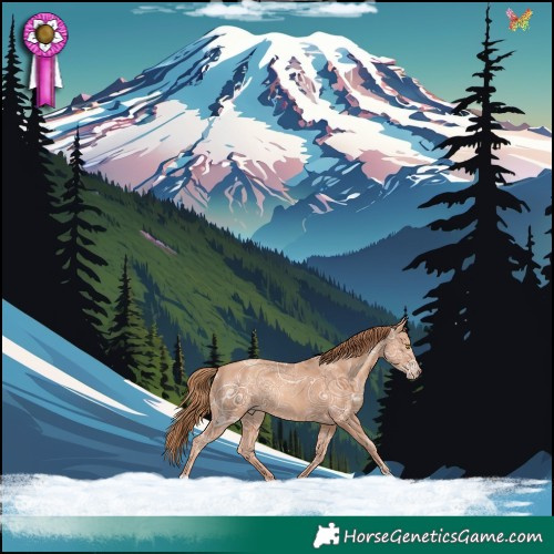 Horse Color:Gold Champagne Ice