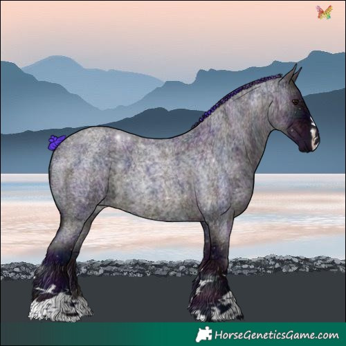 Horse Color:Watercolor Plaid  Midnight Blue Ice Roan 
