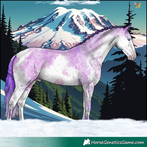 Horse Color:Watercolor Grullo Roan Splash Tobiano 