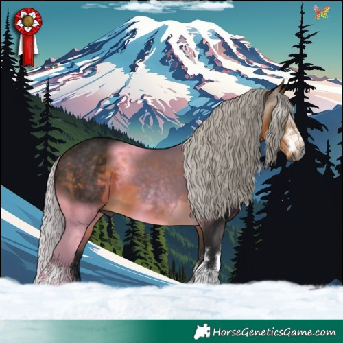 Horse Color:Gray Silver Buckskin 