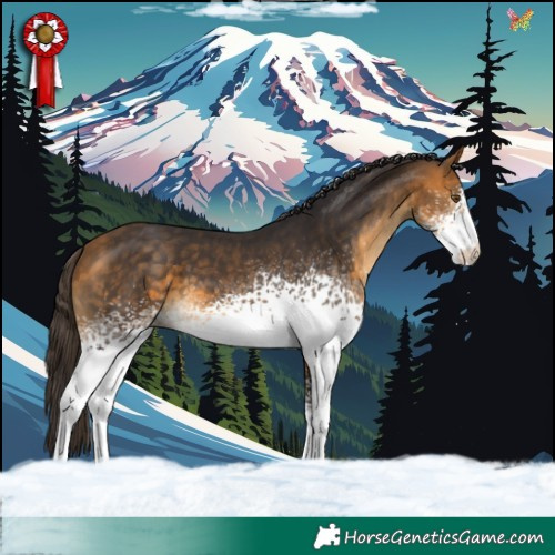 Horse Color:White Spotted Buckskin 