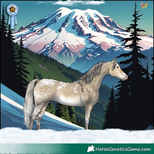 Horse Color:White Spotted Silver Buckskin Ice Dun Rabicano