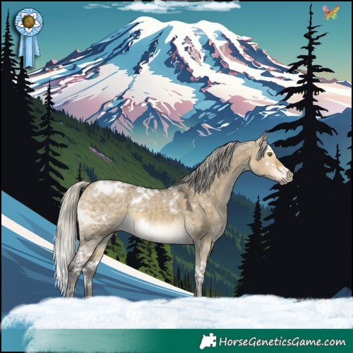 Horse Color:White Spotted Silver Buckskin Ice Dun Rabicano 