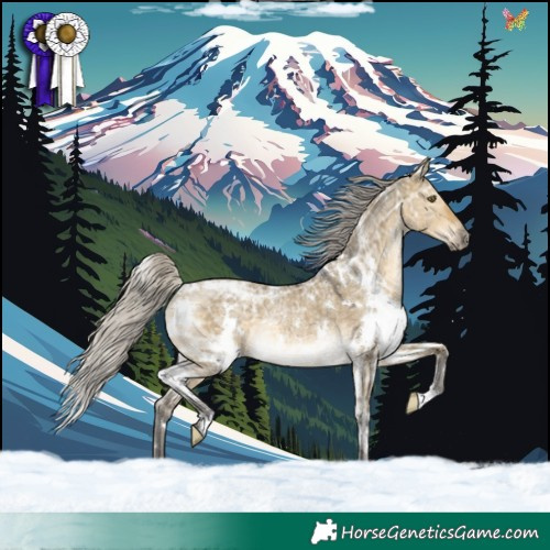Horse Color:White Spotted Silver Buckskin Ice Dun Rabicano 