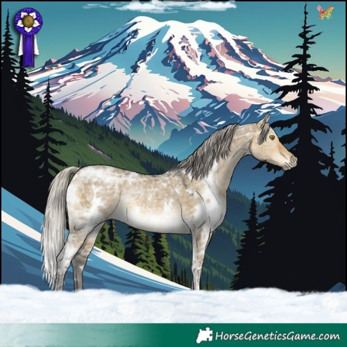 Horse Color:White Spotted Silver Buckskin Ice Dun Rabicano 