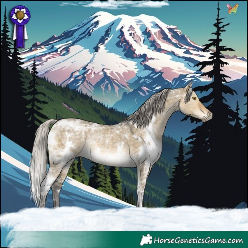 Horse Color:White Spotted Silver Buckskin Ice Dun Rabicano 