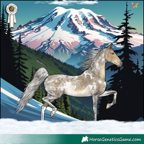 Horse Color:White Spotted Silver Buckskin Ice Dun Rabicano 