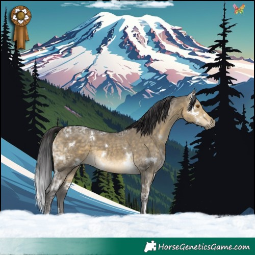 Horse Color:White Spotted Buckskin Ice Dun Rabicano