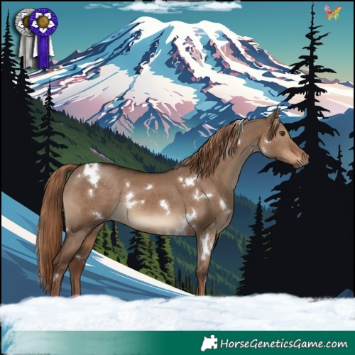 Horse Color:White Spotted Liver Red Dun Rabicano 