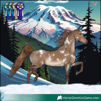 Horse Color:White Spotted Liver Red Dun Rabicano