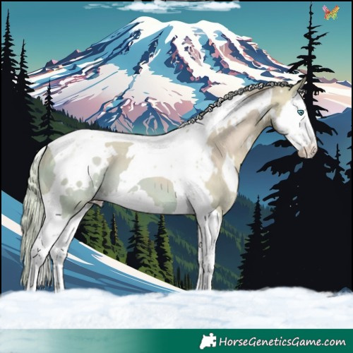 Horse Color:Watercolor White Spotted Silver Sable Champagne Dun Splash Tobiano