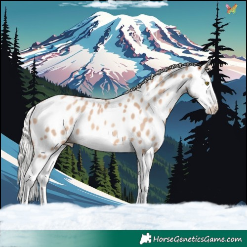 Horse Color:Silver Sable Champagne Dun Splash Near Leopard 