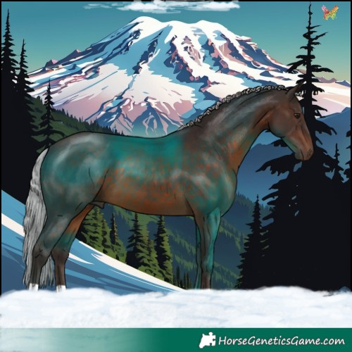Horse Color:Silver Brown