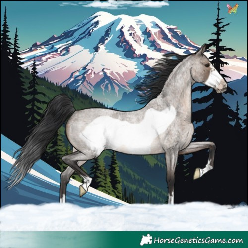 Horse Color:Brown Roan Dun Frame Rabicano