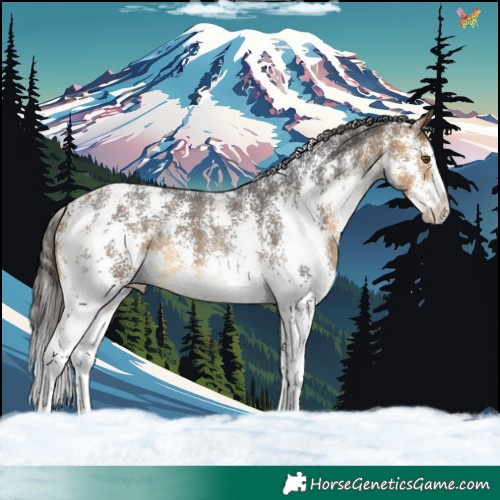 Horse Color:Buckskin Sabino Rabicano 