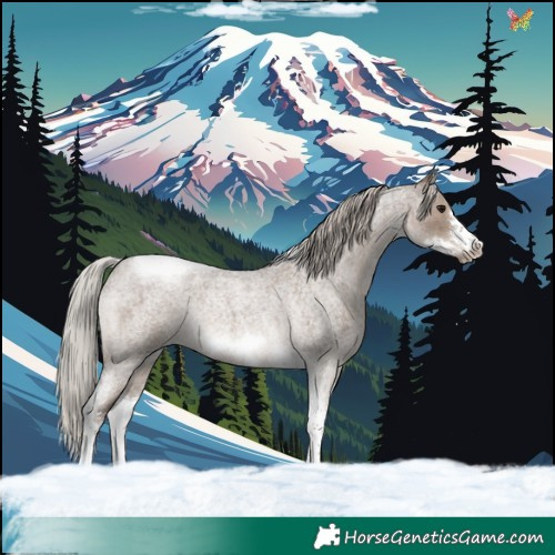 Horse Color:Silver Grullo Roan Tobiano Frame Rabicano Brindle