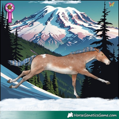 Horse Color:Painted Silver Bay Sabino Tobiano Varnish