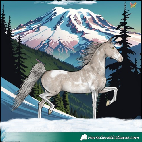Horse Color:Silver Grullo Sabino Tobiano Brindle