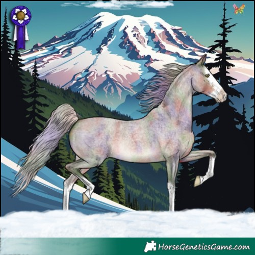 Horse Color:Nacre Silver Brown Roan Dun Splash 