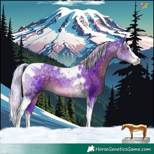 Horse Color:Watercolor White Spotted Silver Brown Splash Tobiano 