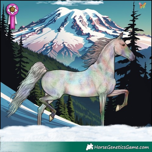 Horse Color:Nacre Silver Brown Roan Dun