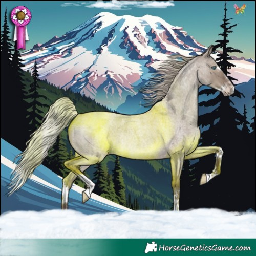 Horse Color:Silver Grullo Roan Splash Rabicano 