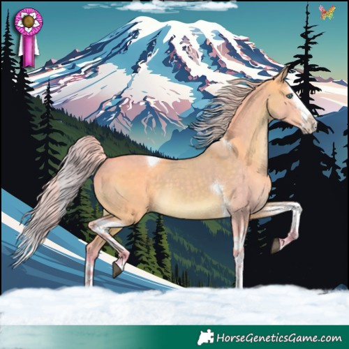 Horse Color:Watercolor Silver Brown Dun Splash Tobiano