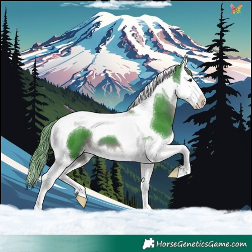 Horse Color:Watercolor Brown Splash Tobiano 