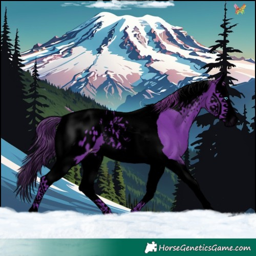 Horse Color:Void Watercolor Liver Chestnut Splash Tobiano Appaloosa 