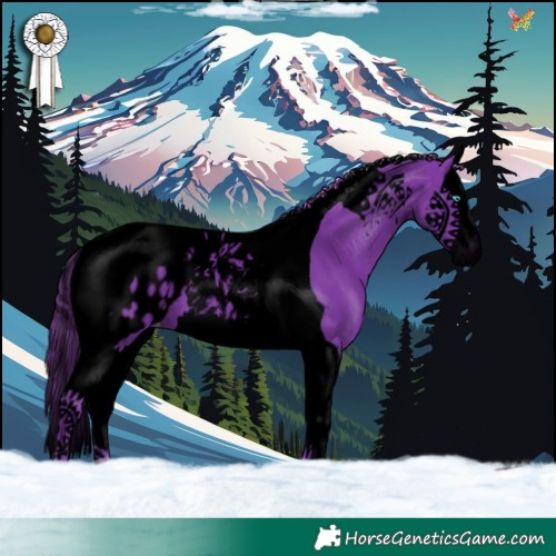 Horse Color:Void Watercolor Liver Chestnut Splash Tobiano Blanket