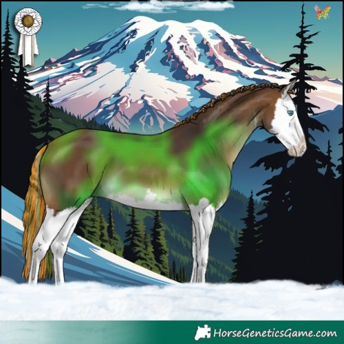 Horse Color:Painted White Spotted Bay Splash