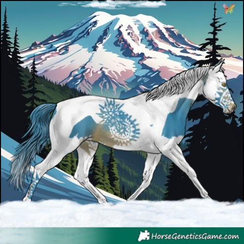 Horse Color:Watercolor Brown Splash Tobiano 