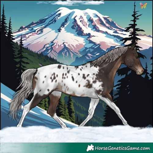 Horse Color:Silver Brown Tobiano Near Leopard
