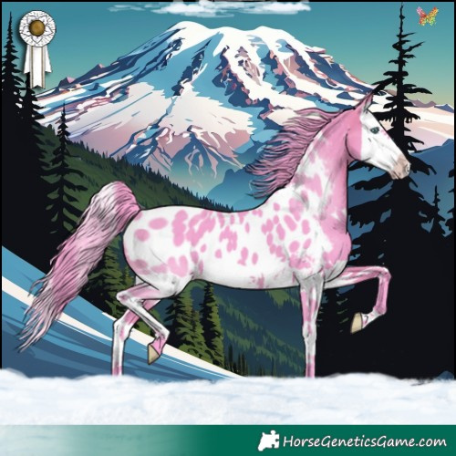 Horse Color:Watercolor Brown Splash Near Leopard