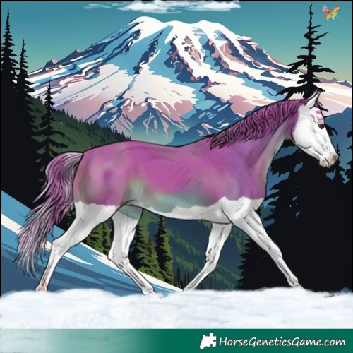 Horse Color:Watercolor Liver Chestnut Splash 
