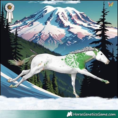 Horse Color:Watercolor Brown Splash Tobiano Appaloosa 