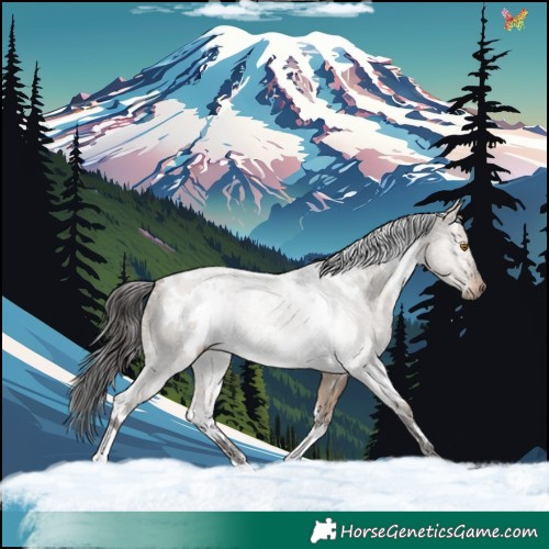 Horse Color:White Spotted Brown Dun Mushroom