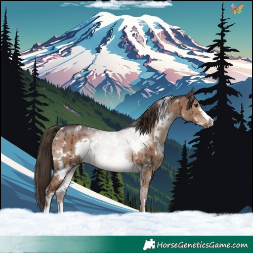 Horse Color:White Spotted Liver Red Dun Brindle 