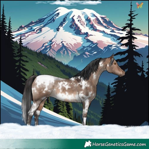 Horse Color:White Spotted Brown Dun Mushroom 
