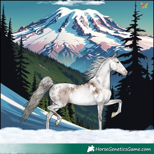 Horse Color:White Spotted Liver Red Dun Mushroom Rabicano Brindle